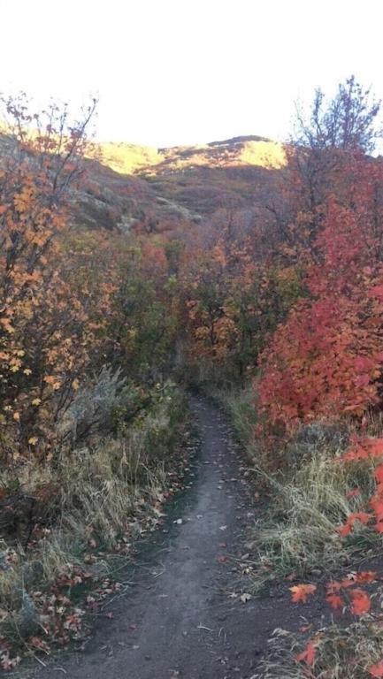 Stay & Play In The Little Switzerland Of Utah!!! 德雷珀 外观 照片